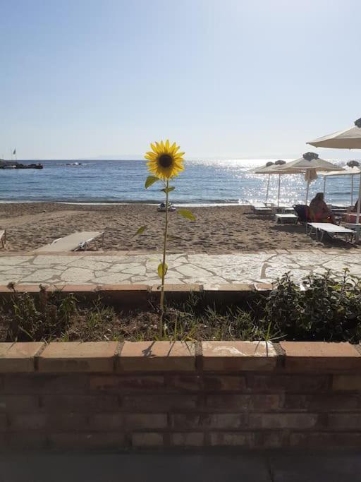 Stoupa Beachside Retro Apartment المظهر الخارجي الصورة
